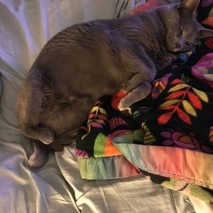 Meet your Posher, Carissa